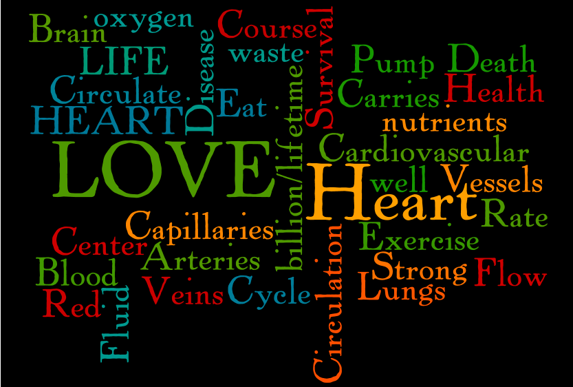 Is tag cloud useful, does it give SEO boost, where to place tag cloud?