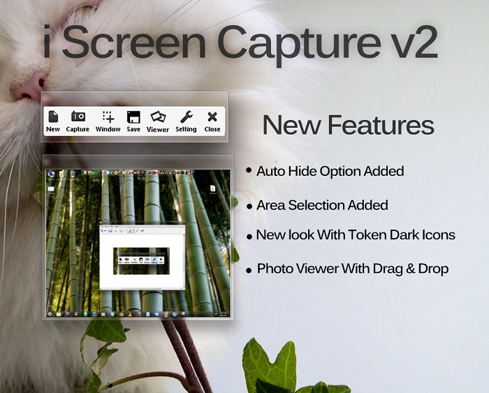 Free Screen Shot Capture Tool iCapture For Windows 7