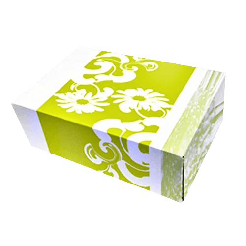 Pastry Boxes Manufacturer Custom Pastry Packaging Boxes Printing