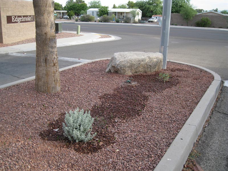 Irrigation Repair The Cutting Edge Tree and Landscaping Tucson, AZ