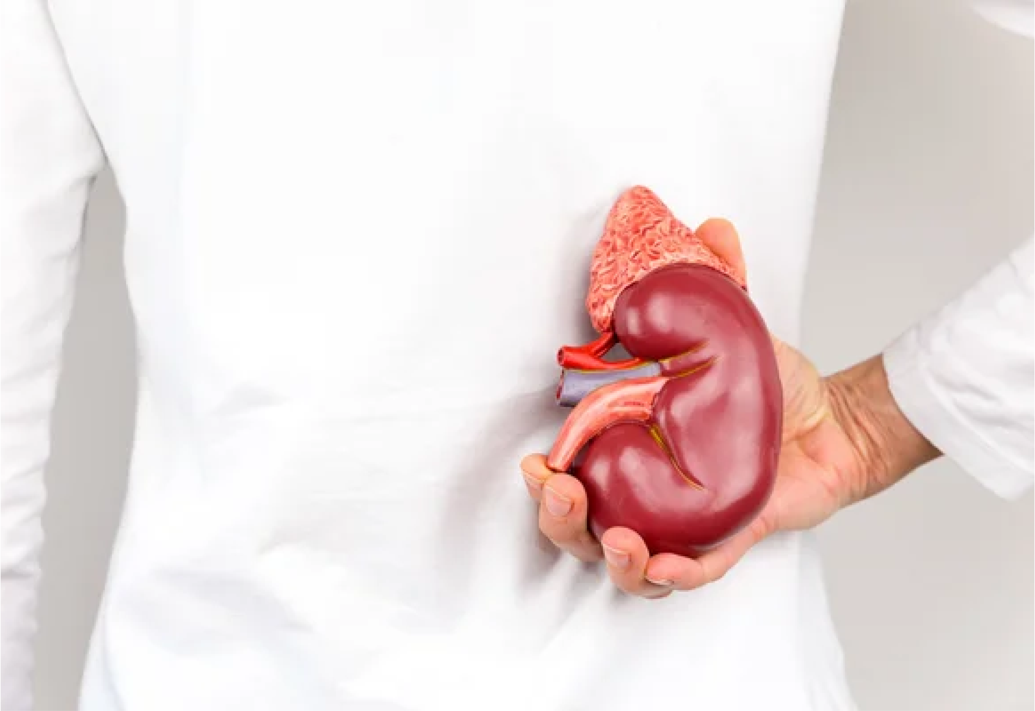 Kidney Function Monitoring in Patient with Atrial Fibrillation Canadian Vigour Centre