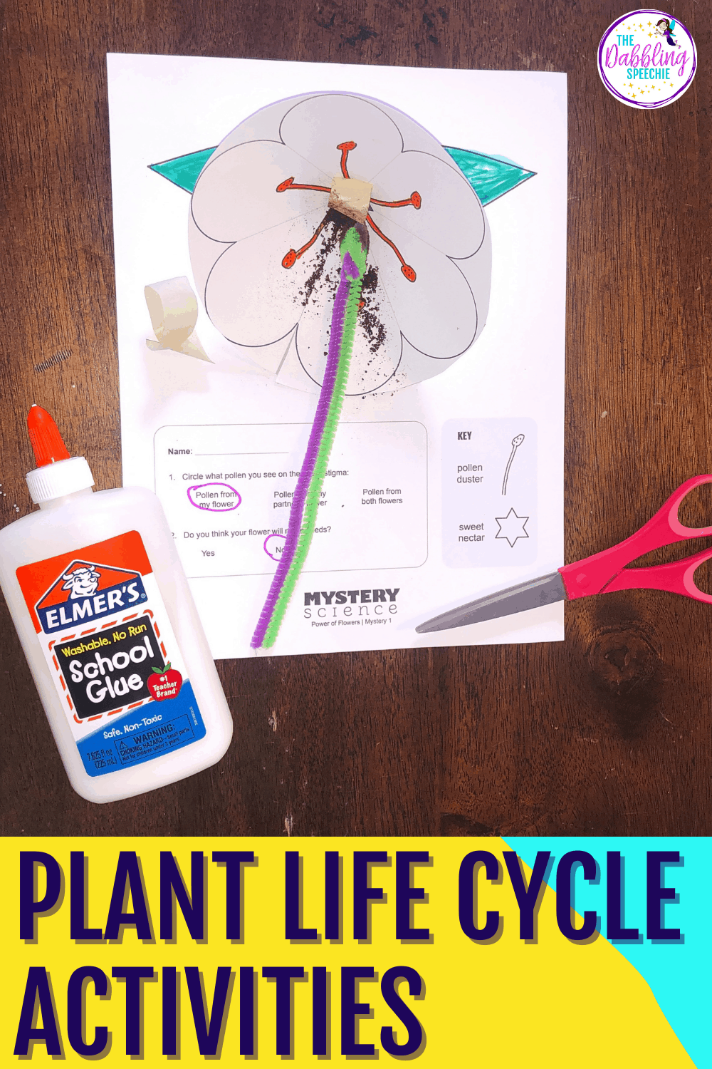 Plant Life Cycle Activities for Language Therapy thedabblingspeechie