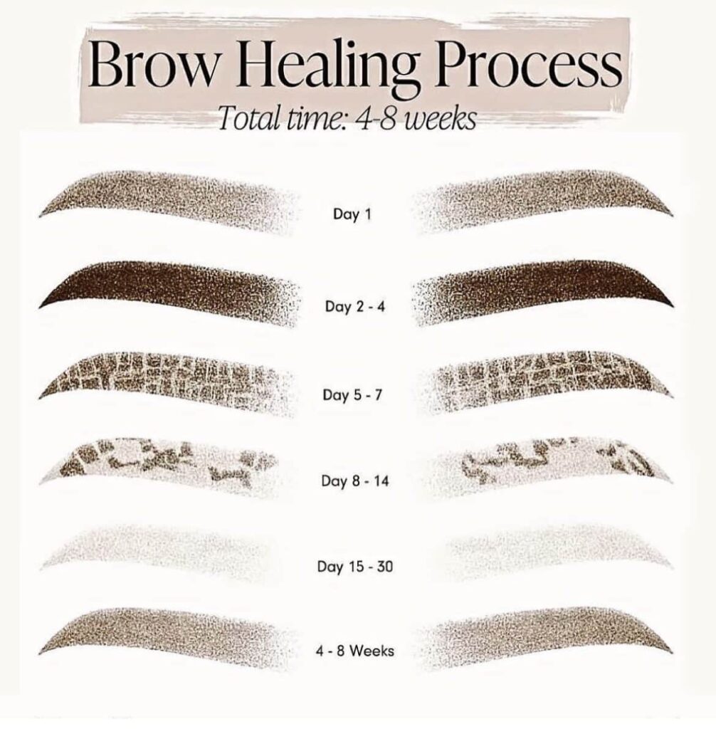 Microblading Healing Process What to Expect the daily glimmer