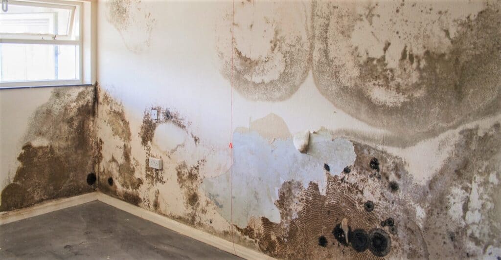 An Easy Guide on How to Get Rid of Dampness in Buildings The Daily