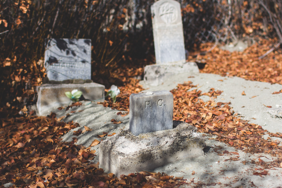 Mill Fork Cemetery THE DAINTY SQUID