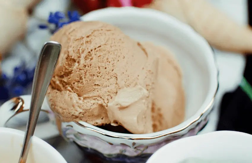 Coffee Ice Cream Brands 13 Popular Dessert Options The Dairy Dish