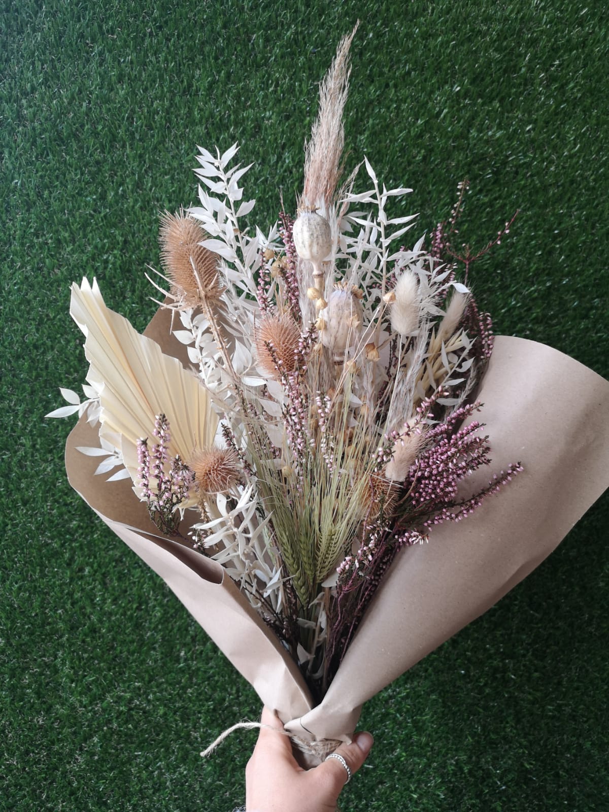 Letterbox Dried The Dancing Daffodil