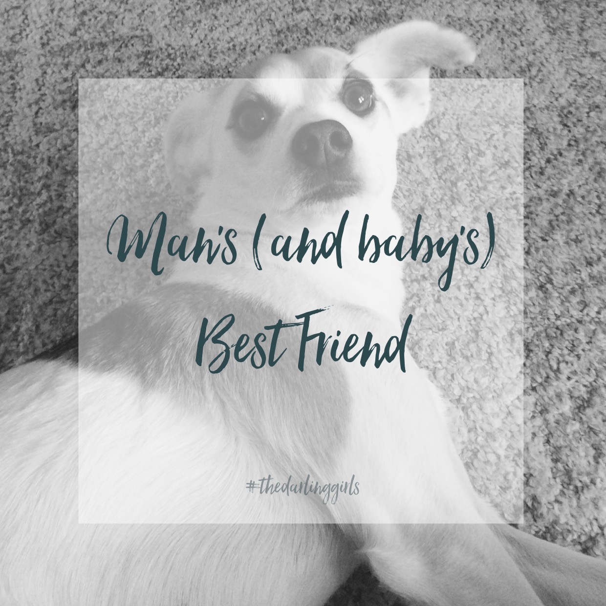 Man… And Baby’s Best Friend The Darling Girls