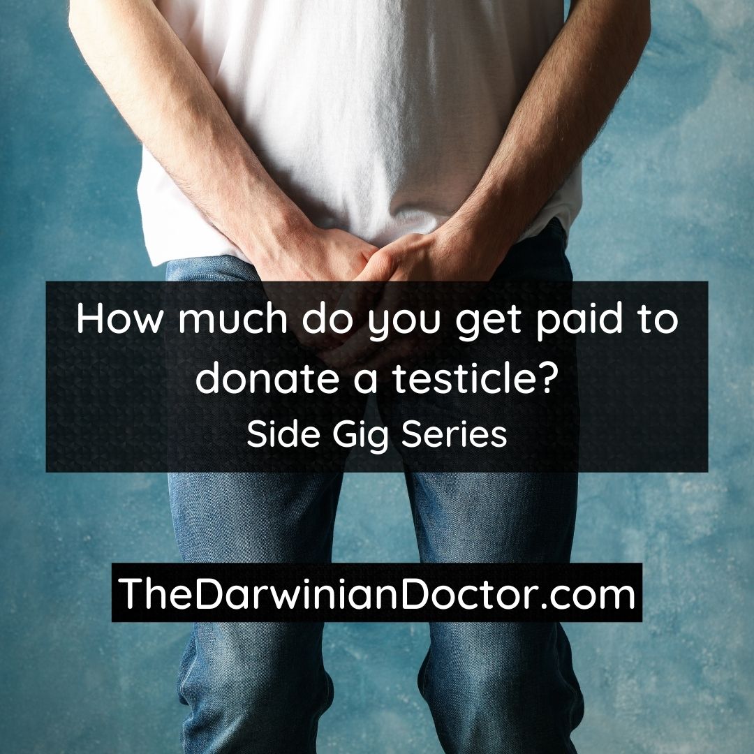 How much do you get paid to donate a testicle? Side Gig Series The