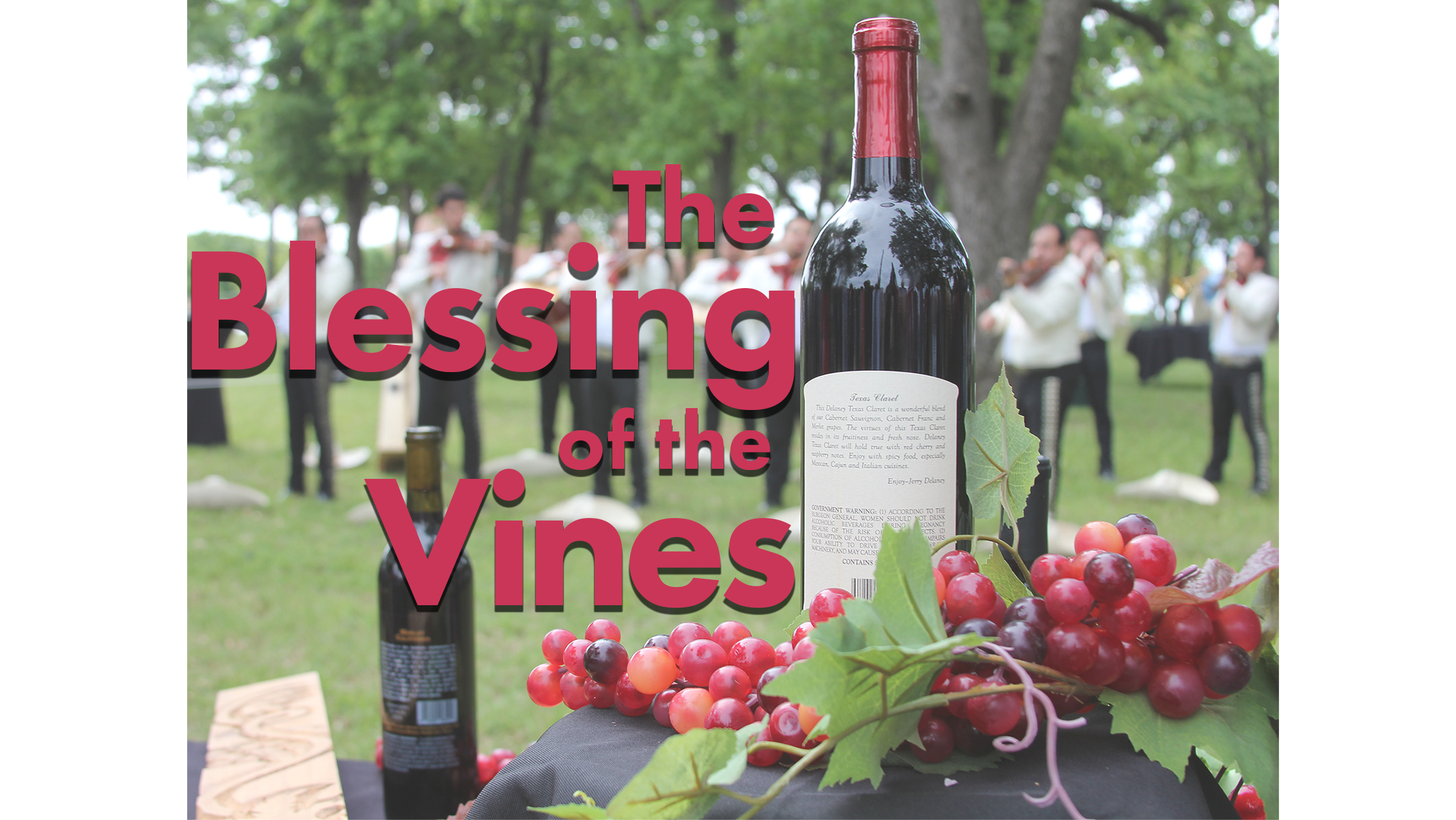 The Blessing of the Vines The Daytripper