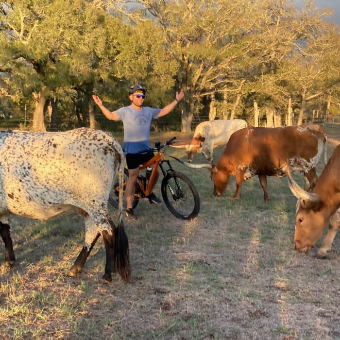 Giddings, TX The Daytripper