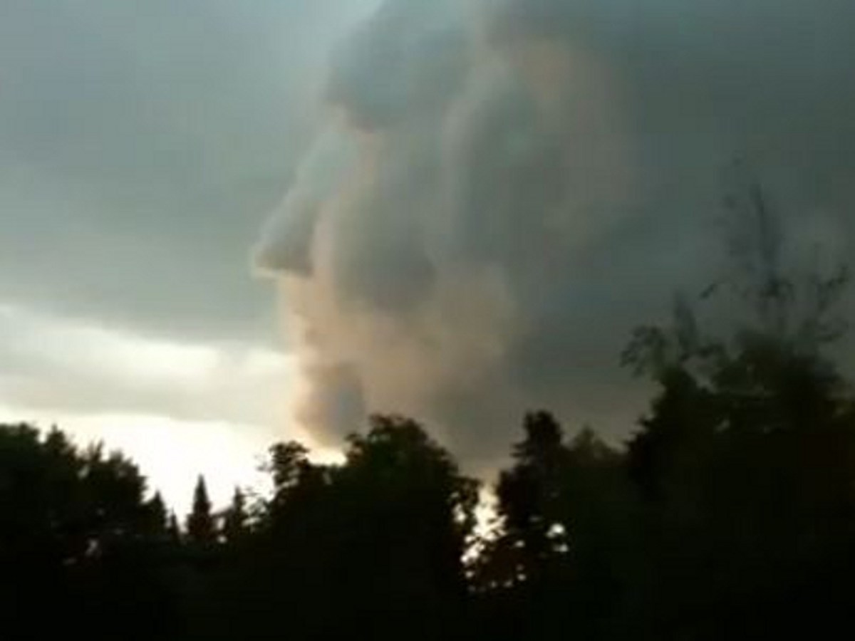 Pareidolia