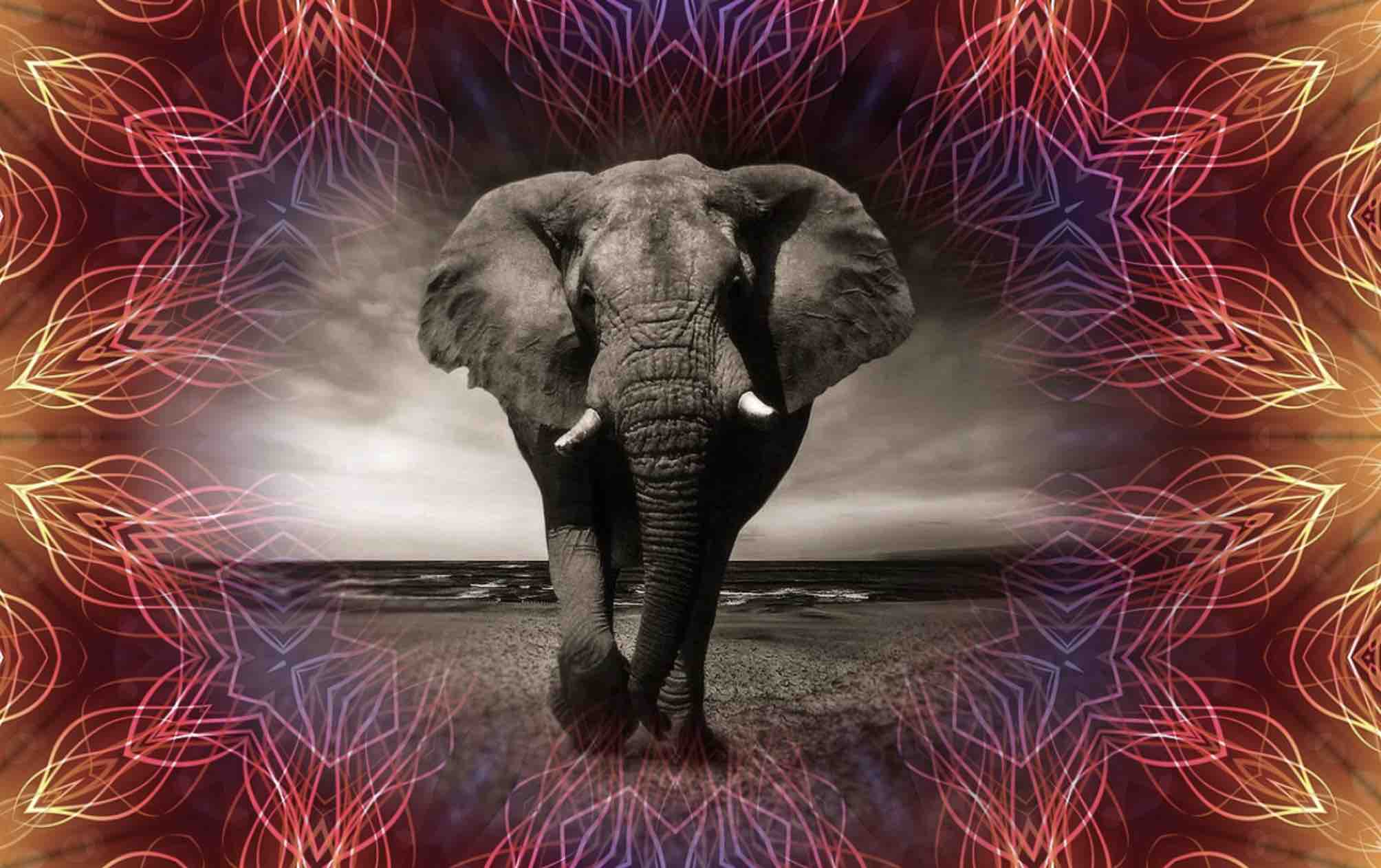 Strange Science The Crazy Things Researchers Have Done in the Name of