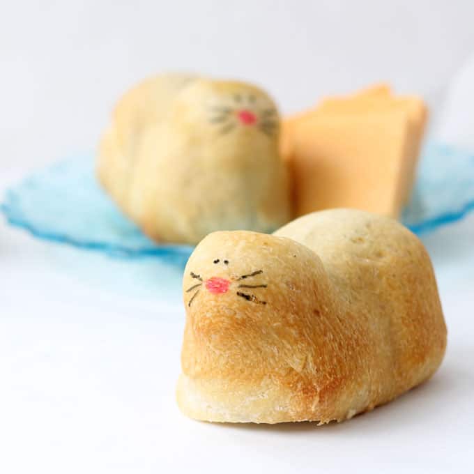 kitty cat bread how to a loaf of cute kitty cat bread using a