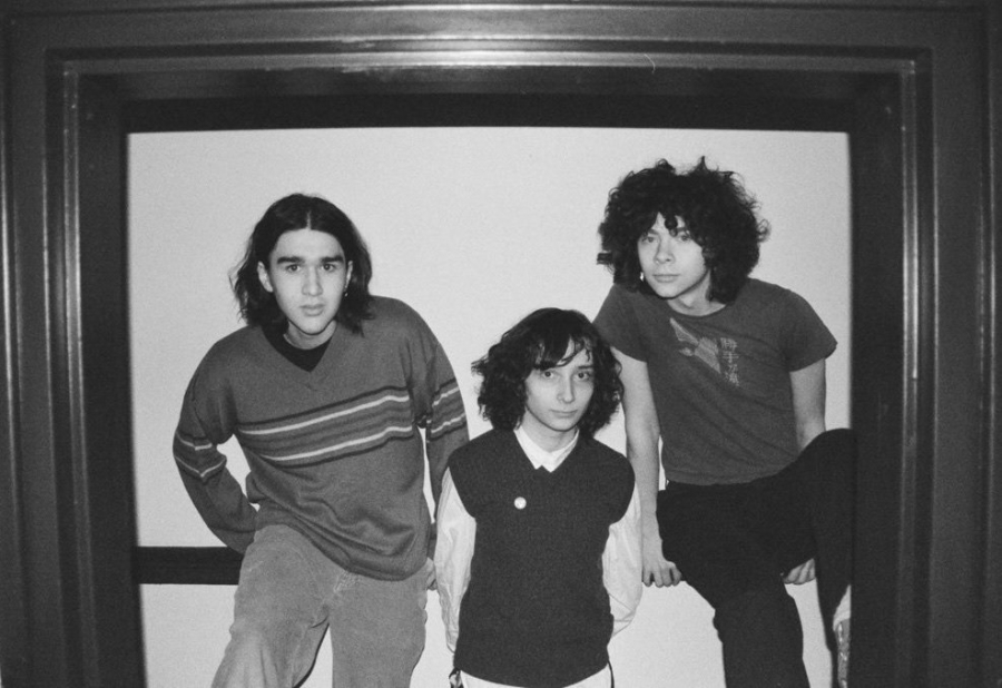 Lifeguard “Alarm” THE DELI