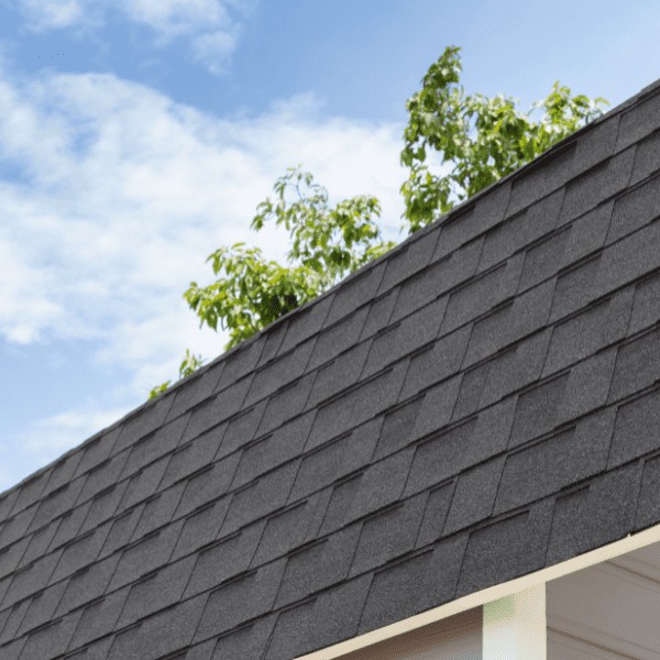 10 Roofing Materials for Your New Roof Guide)