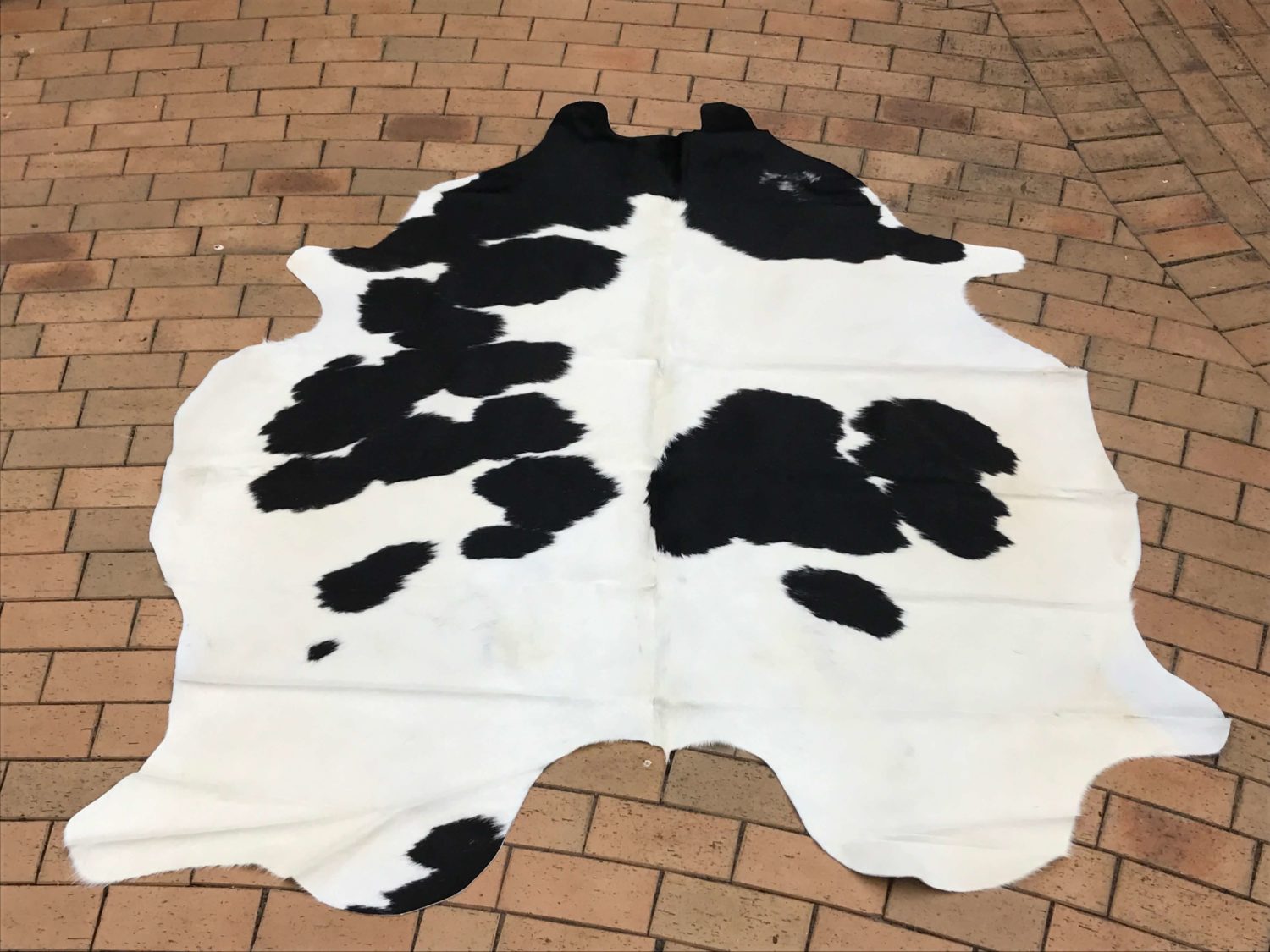 Latest All Cowhide New Stylish And Large Cowhide Rugs Pure Cowhide Rugs