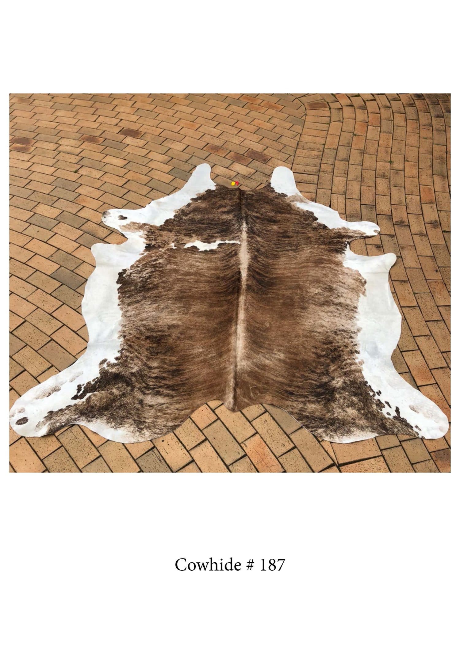 Cowhide Rugs Sale Pure Cowhide Rugs Premium Quality Cowhide Rugs Online