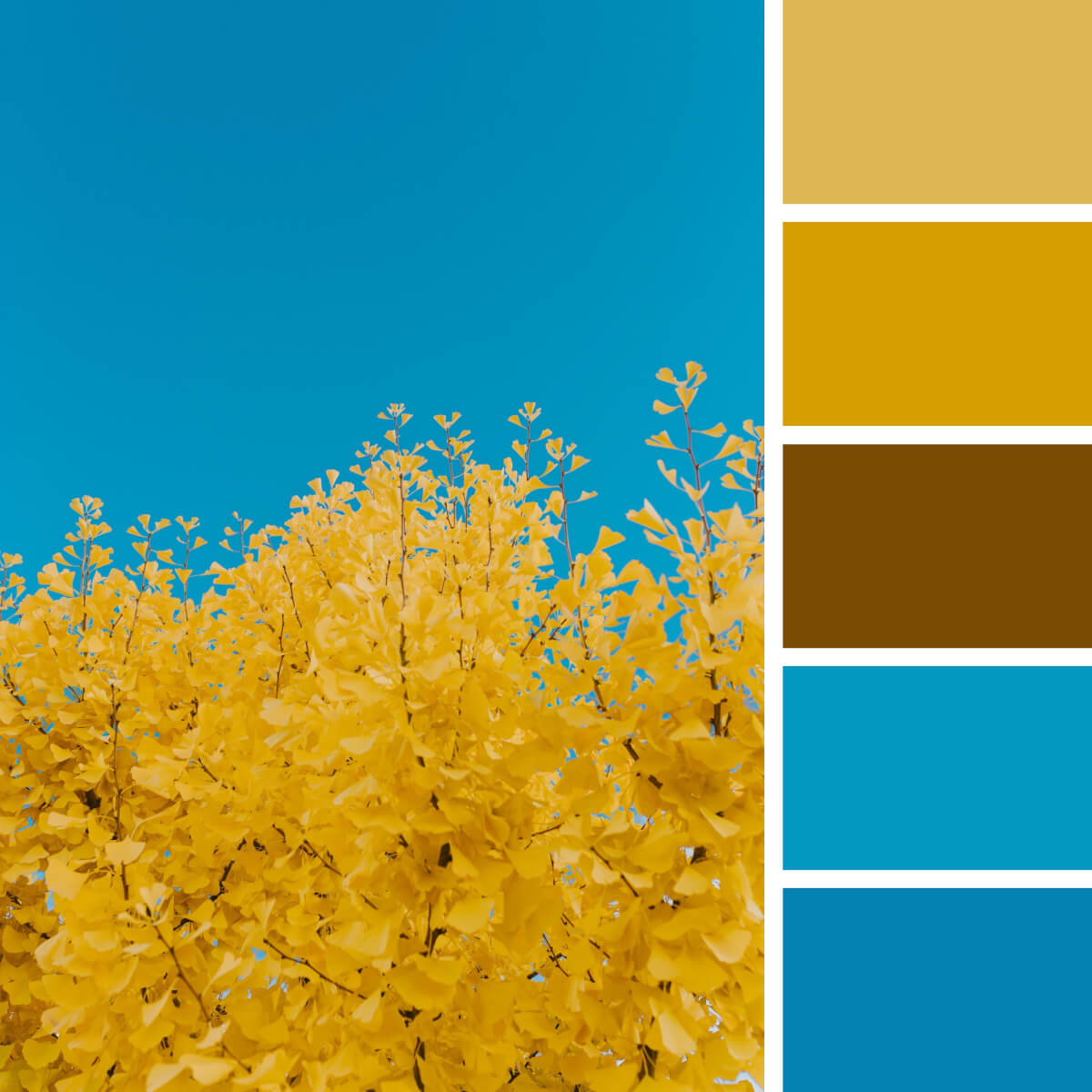 130 Eye Catching Color Combinations For Design Enthusiasts (2022)