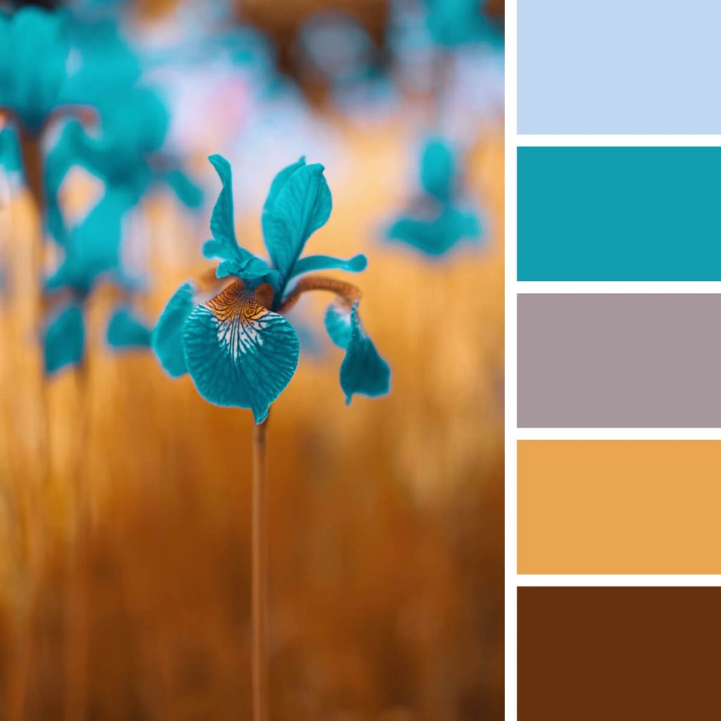 130 EyeCatching Color Combinations For Design Enthusiasts — The Designest