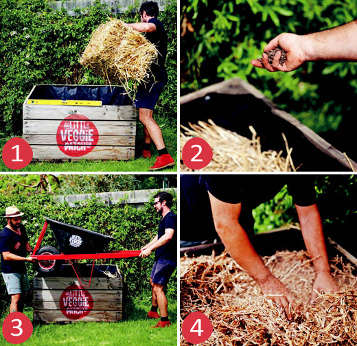 In the Garden with The Little Veggie Patch Co. The Apple Crate Garden