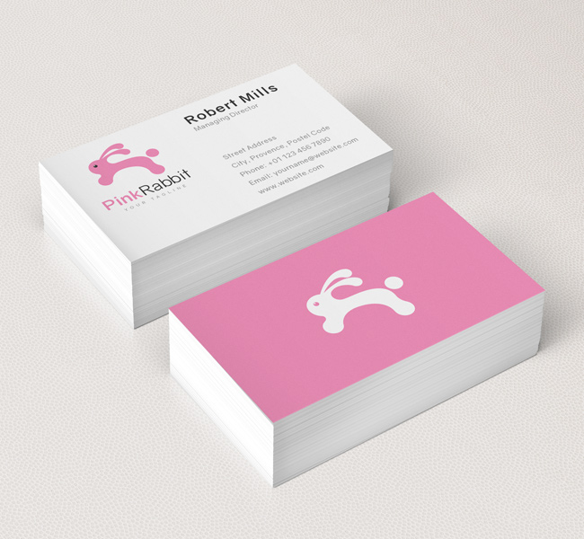Pink Rabbit Logo & Business Card Template The Design Love