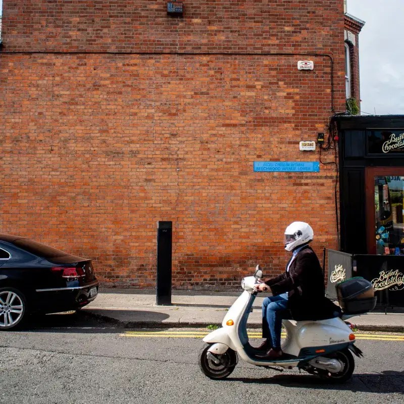 In The Company of Books, Book Shop Ranelagh Dublin The Devlin
