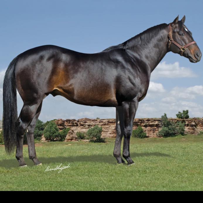 Double LL Farms The Diamond Classic