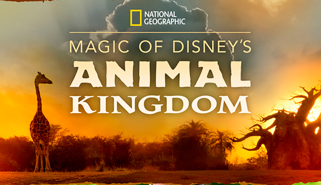 Disney+ Premiers ‘Magic Of Disney’s Animal Kingdom’, A Behind The