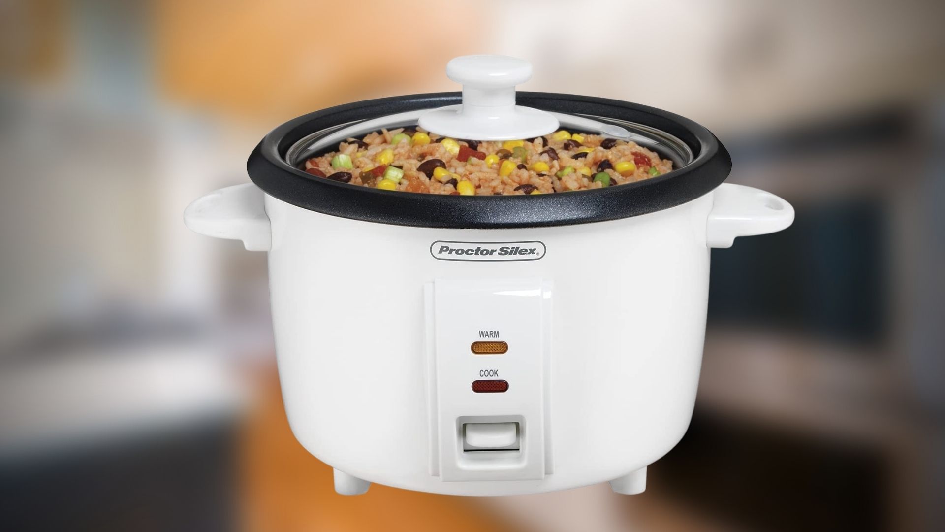 Top 10 Best Rice Cooker Brands in Canada. in 2023 (Review