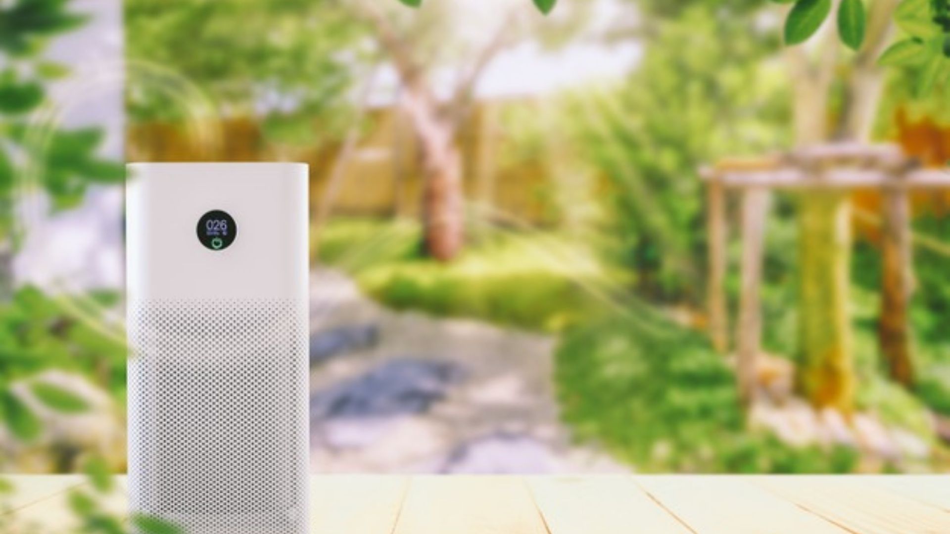 TOP 13 AIR PURIFIERS FOR SMOKE IN CANADA TheDigitalHacker