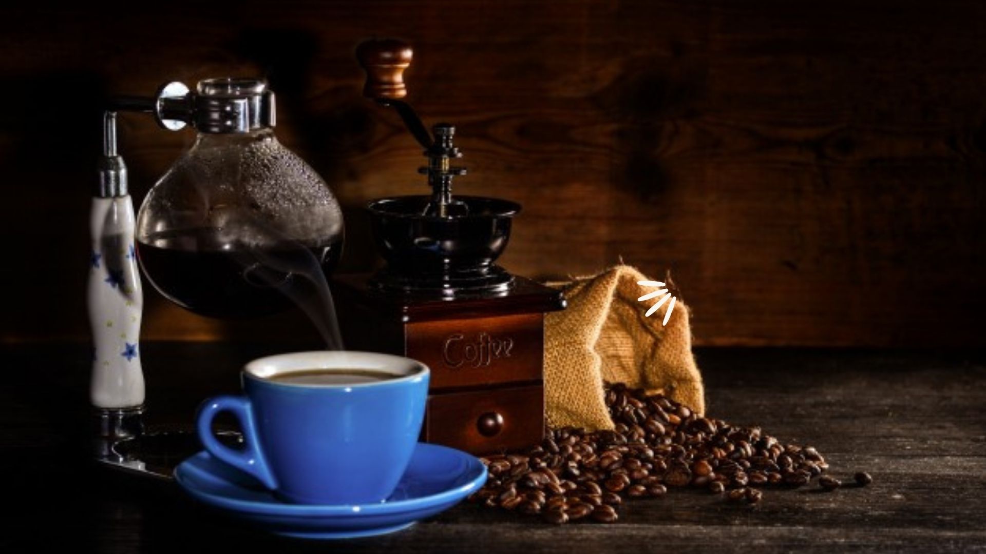 TOP 13 COFFEE GRINDERS IN CANADA TheDigitalHacker