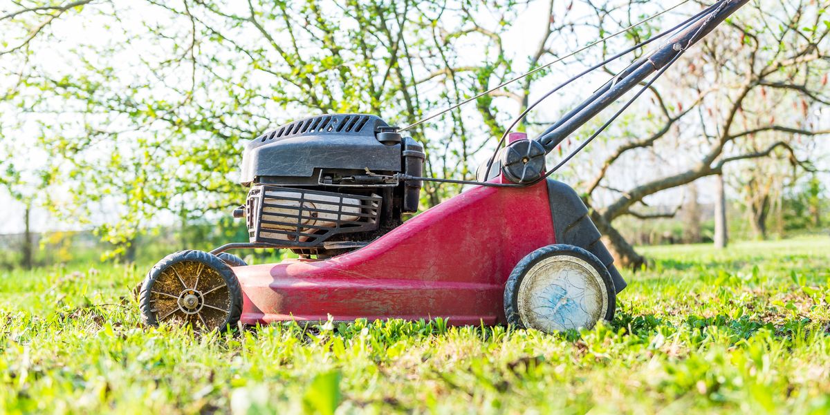 Top 10 Best Lawn Mowers in Canada TheDigitalHacker