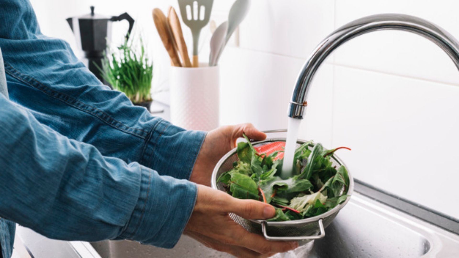 Top 13 best under sink water filter in 2021 TDH US