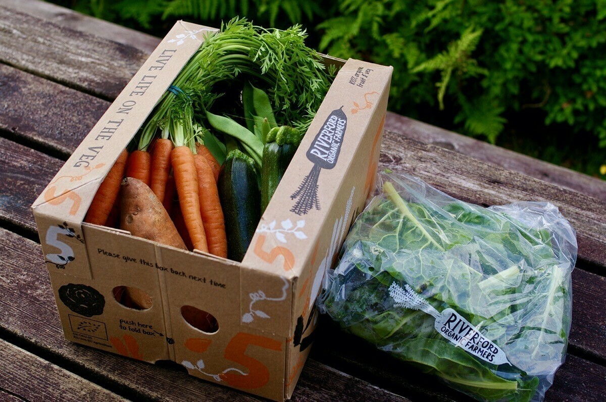 Vegetables Riverford Organic Farmers 🌱 The Dim Pause