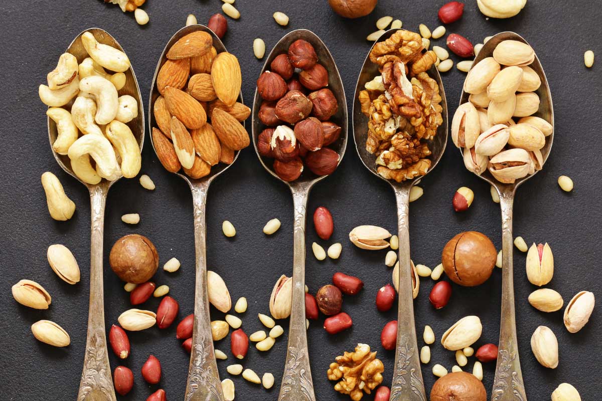 Can Cats Eat Cashews? What Cat Lovers Need to Know I The Discerning Cat