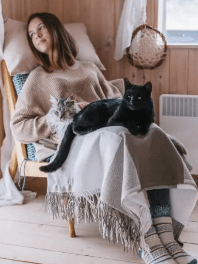 Quotes That Tell How Awesome Cat Lovers Are Story The Discerning Cat