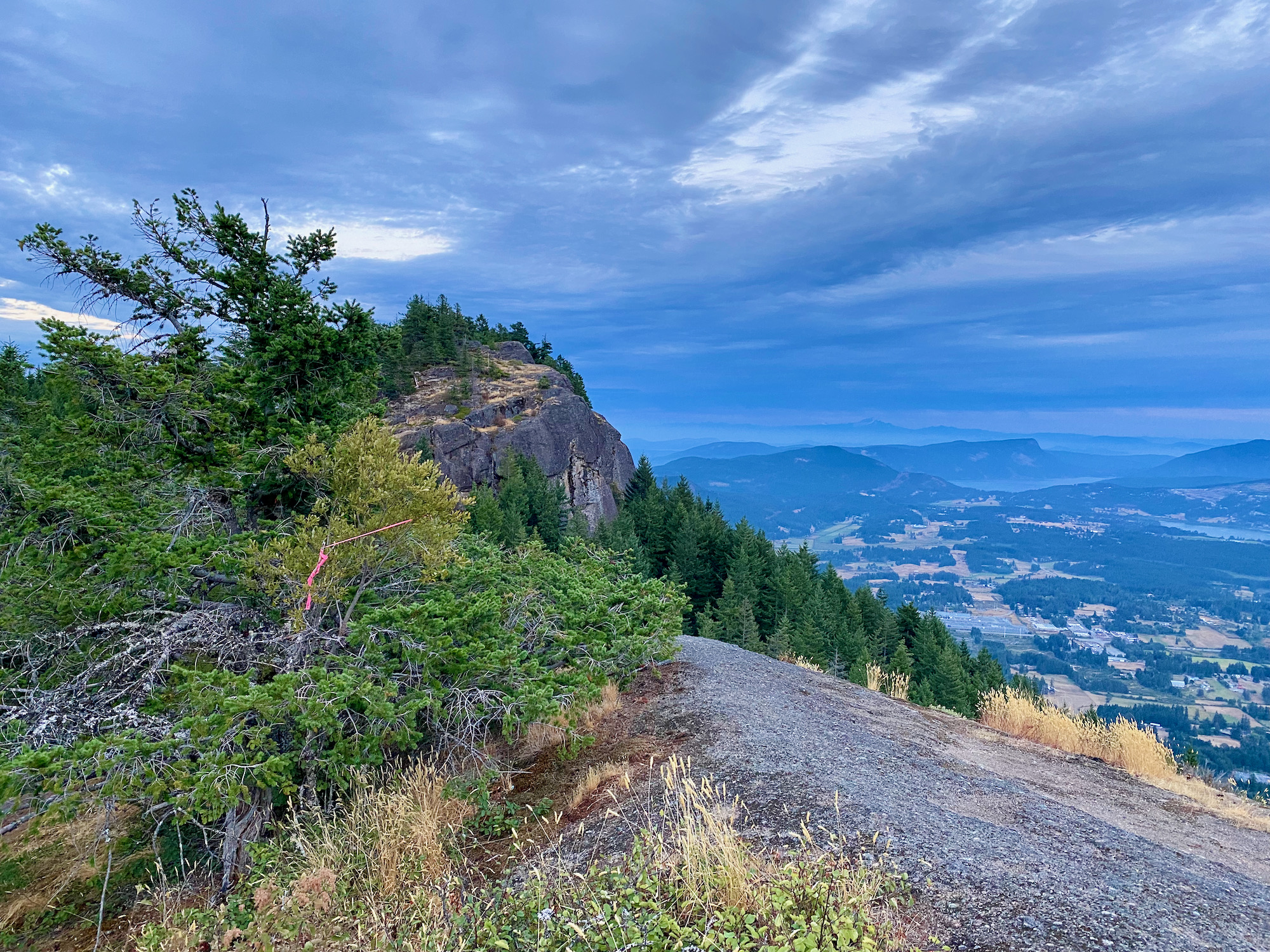 What makes North Cowichan's municipal forest so special? — The Discourse.