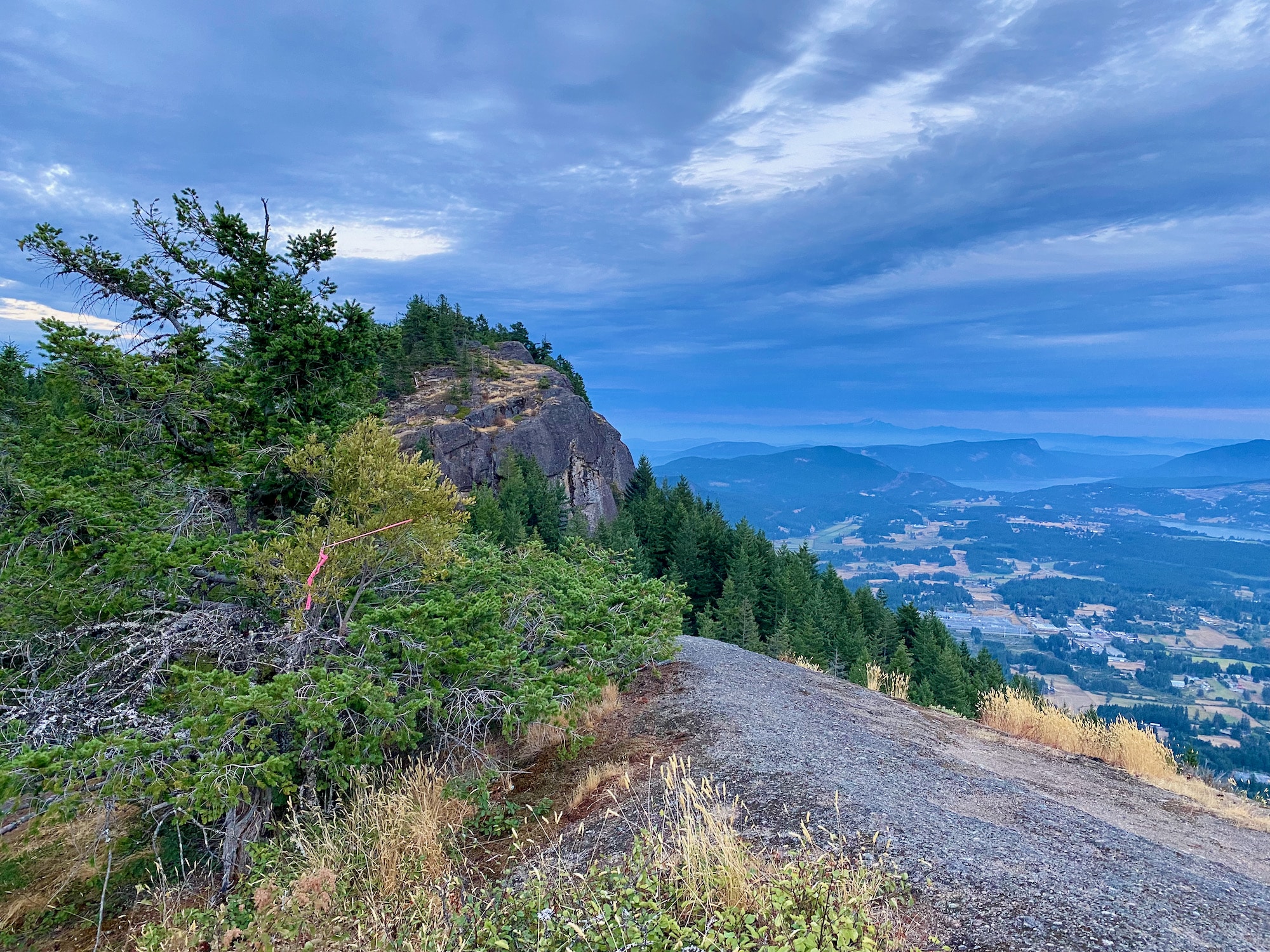 What makes North Cowichan's municipal forest so special? The Discourse.