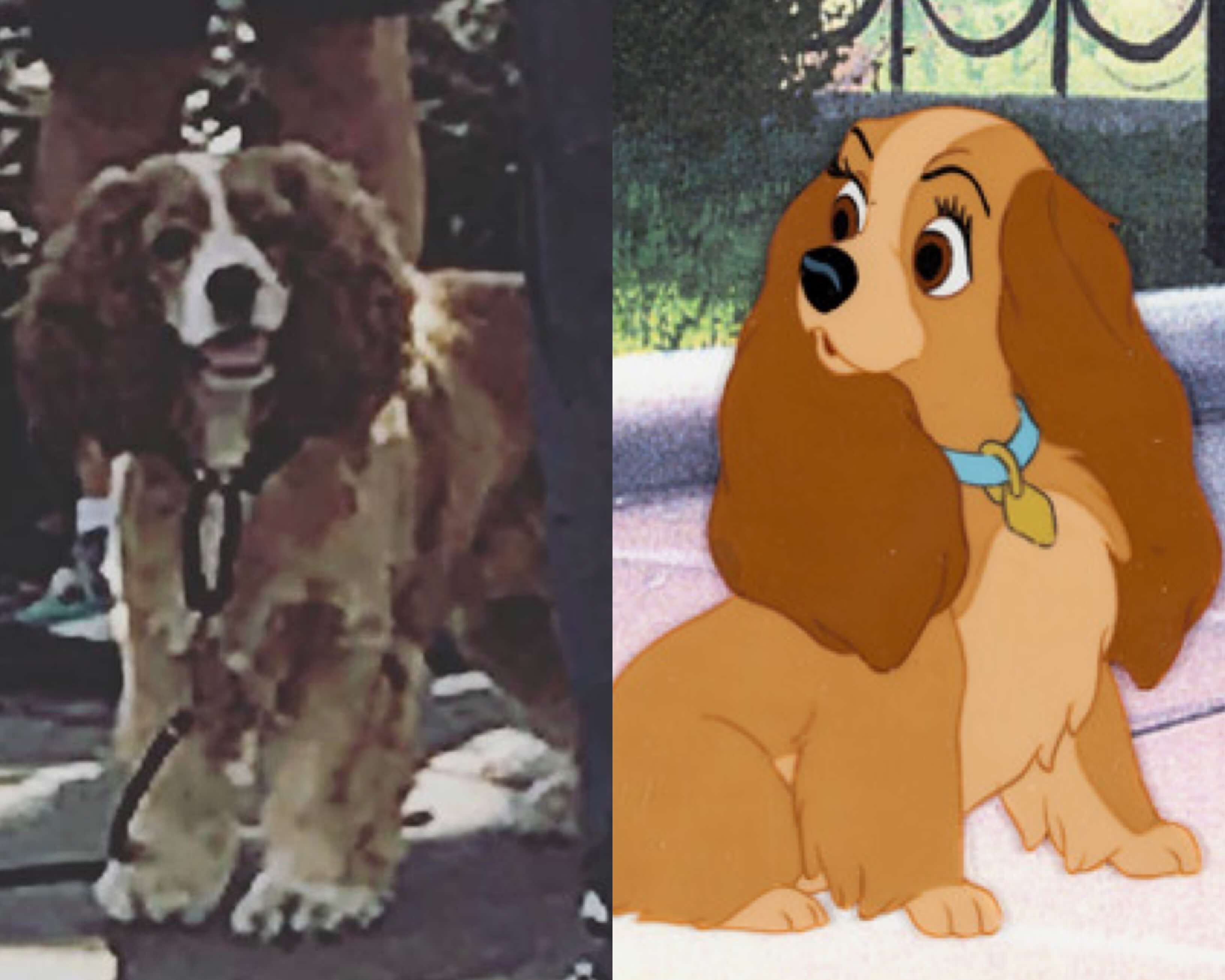 Set Photos Offer First Look At Lady In The LADY AND THE TRAMP Remake