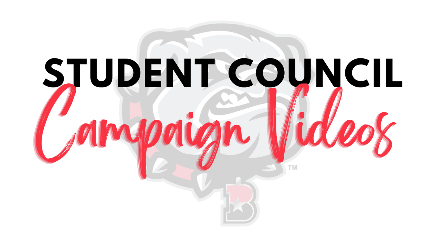 Student council campaign videos for the 20222023 election The Dispatch