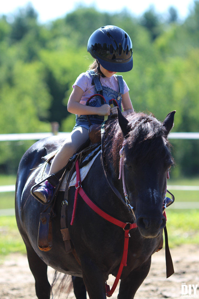 Riding a Horse for the First Time Horseback Riding Lessons
