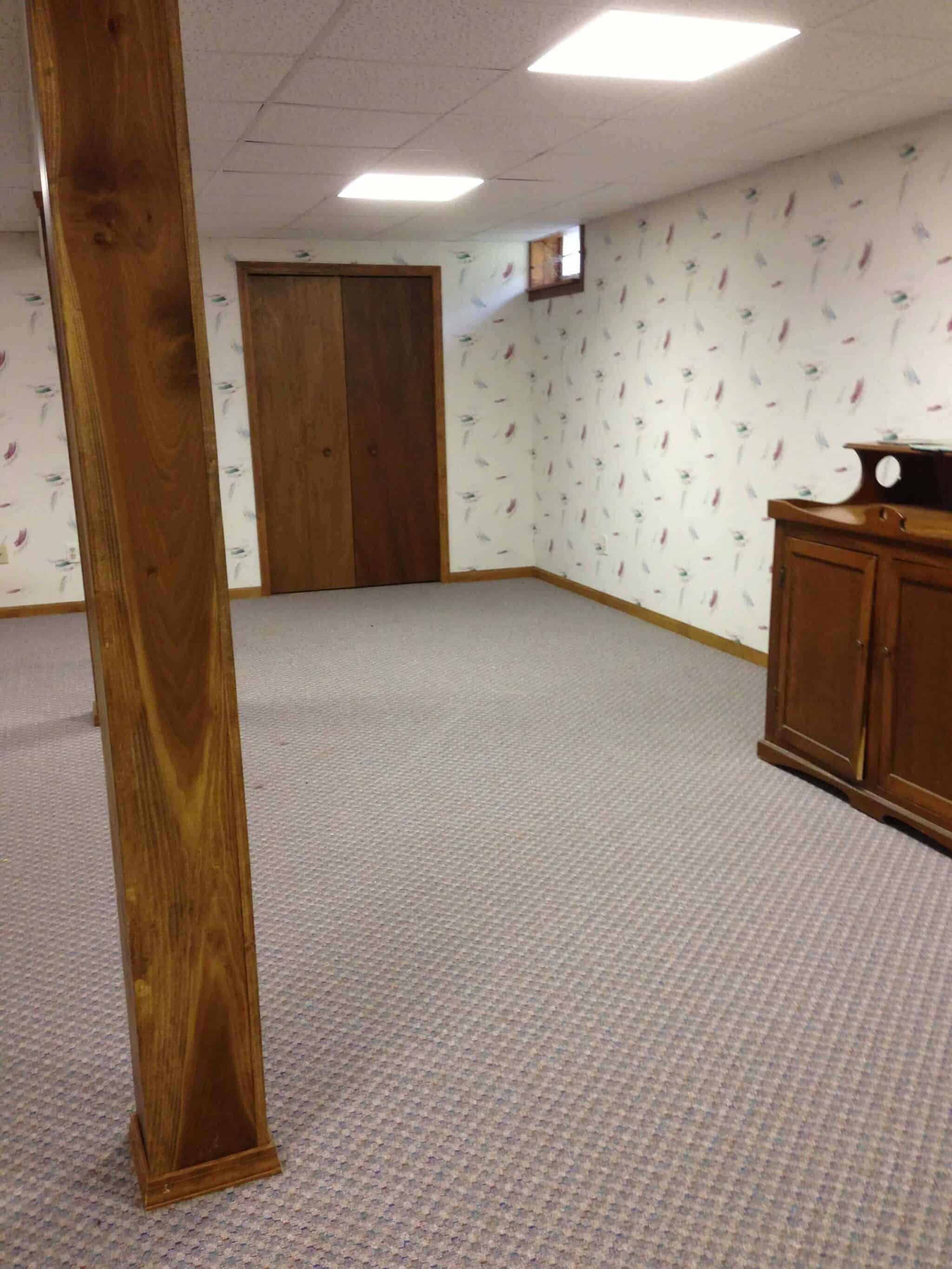 DIY Budget Basement Makeover Ideas (Easy Weekend DIY Projects) The