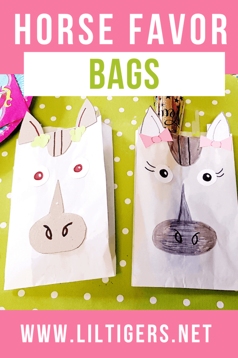 12 Easy DIY Loot Bag Ideas For Your Next Birthday Party Favor The DIY