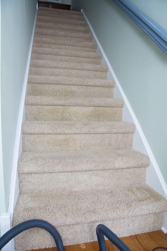 How To Easily Clean Carpet On Stairs The DIY Nuts