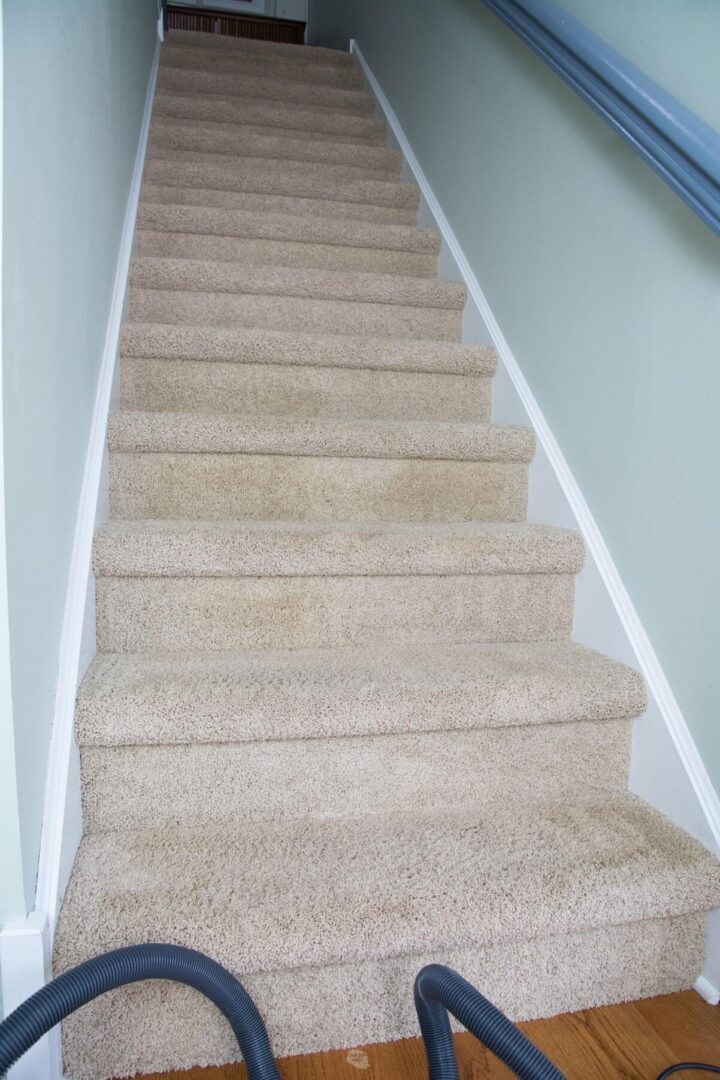 How To Easily Clean Carpet On Stairs The DIY Nuts