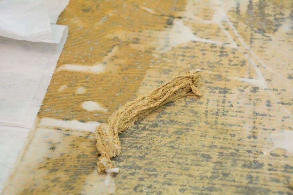 How To Remove Carpet Glue From Concrete (DIY Tutorial) The DIY Nuts