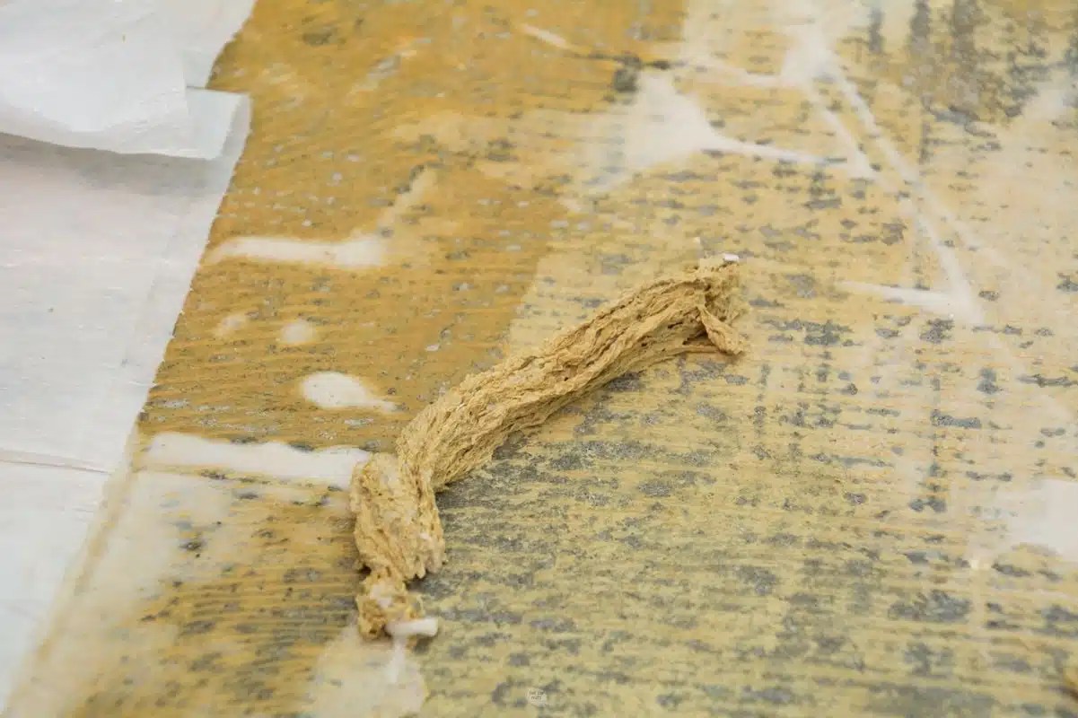 How To Take Carpet Glue Off Concrete Floor Floor Roma