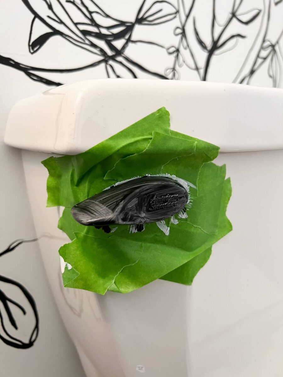 How To Easily Paint A Toilet Flush Handle The DIY Nuts