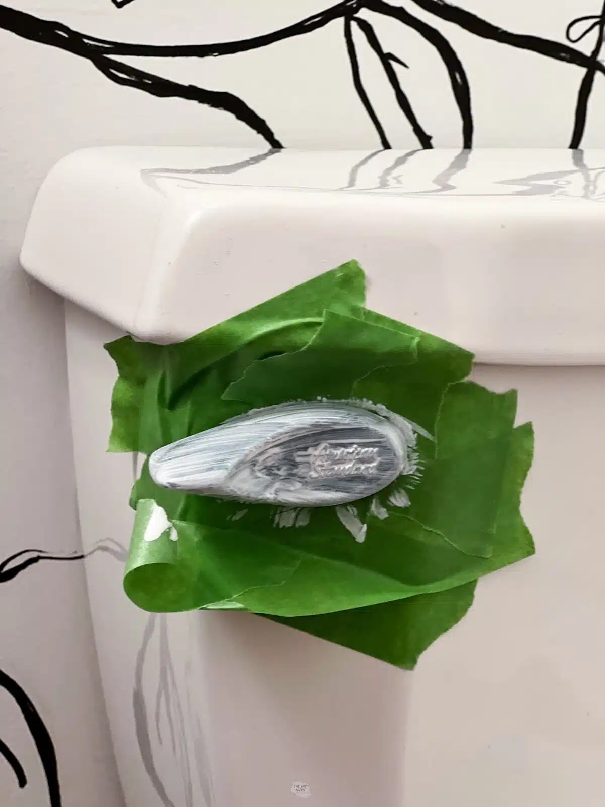 How To Easily Paint A Toilet Flush Handle The DIY Nuts